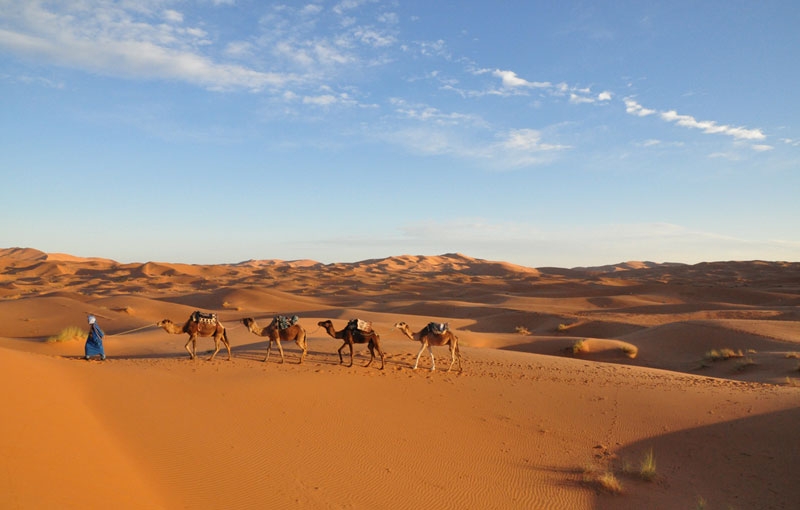 Reizen Marokko