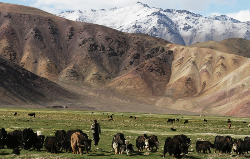 Rondreis TADJIKISTAN - 26 dagen; Gletsjermeren in de Pamir